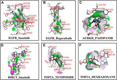 Gene expression profile analysis to discover molecular signatures for early diagnosis and therapies of triple-negative breast cancer